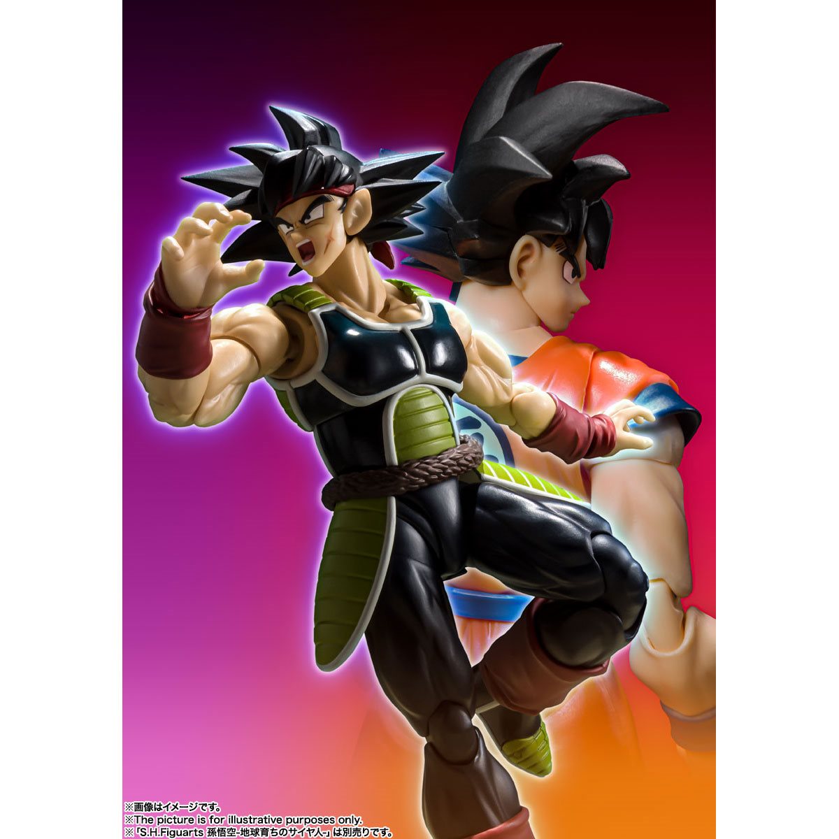 S.H. Figuarts: Bardock Distribucion Blue Fin