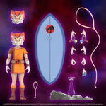 Super7: Thundercats Wilykat